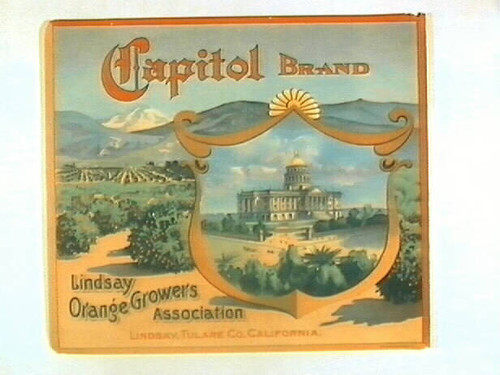 Capitol Brand
