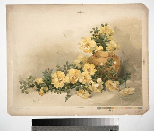 [Yellow flowers in and in front of cream vase]