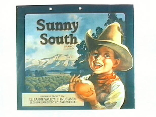 Sunny South Brand