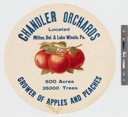 Chandler orchards located Milton, Del. & Lake Winola, Pa