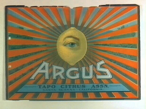 Argus