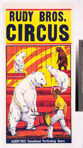 Rudy Bros. Circus. : Albert Rixs sensational performing bears