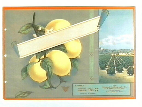 Stock label: lemons on branch, lemon groves and mountains