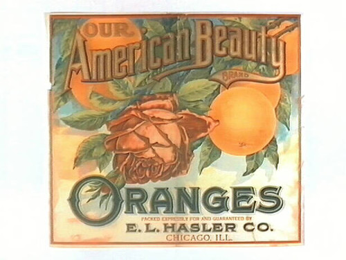 Our American Beauty Brand