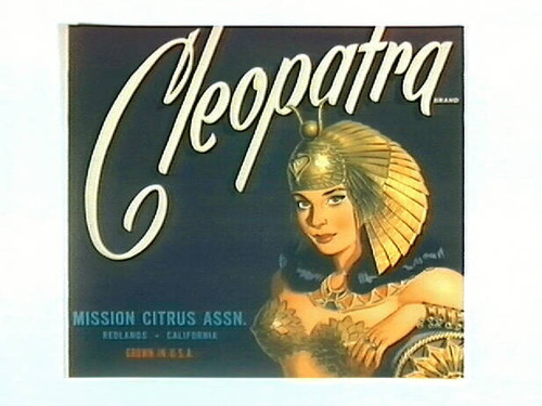 Cleopatra Brand