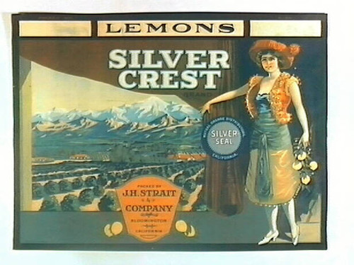 Silver Crest Brand