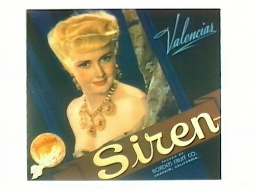 Siren Brand