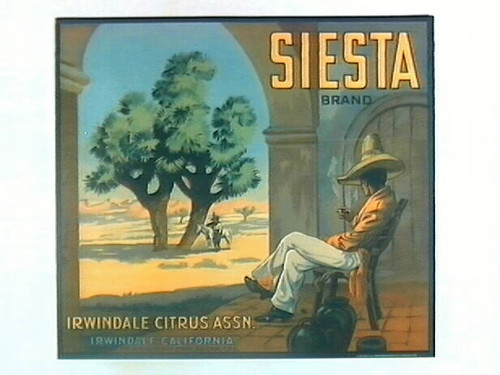 Siesta Brand