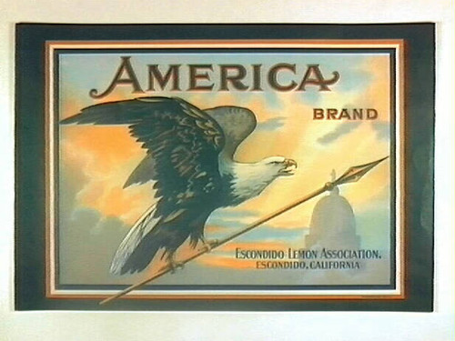 America Brand