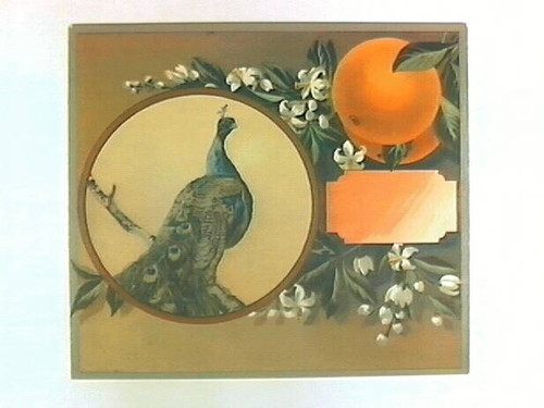 Stock label: peacock with oranges, leaves and blossoms