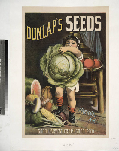 Dunlap's seeds : Nashua, N.H. : Good harvest from good seed