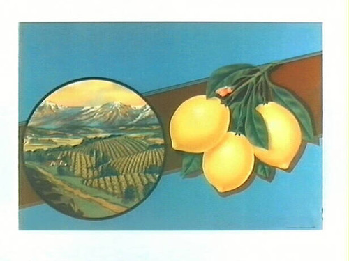 Stock label: lemons and leaves with landscape of orchards and mountains