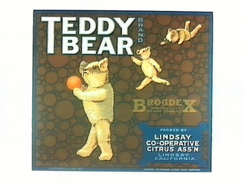 Teddy Bear Brand