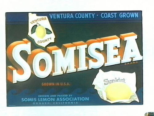 Somisea Brand