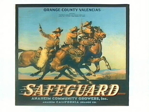 Safeguard Brand