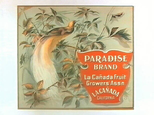 Paradise Brand