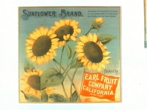 Sunflower Brand