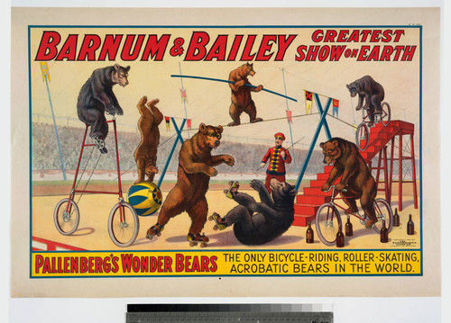 Barnum & Bailey greatest show on Earth : Pallenberg's wonder bears the only bicycle-riding, roller-skating, acrobatic bears in the world