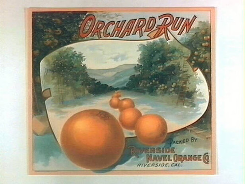 Orchard Run