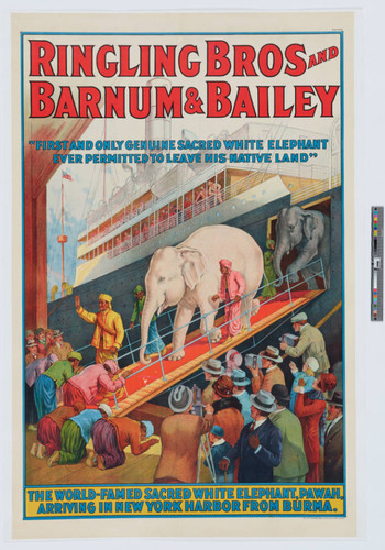 Ringling Bros and Barnum & Bailey "first and only genuine sacred white elephant ever permitted to leave his native land