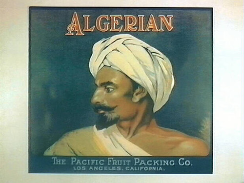 Algerian