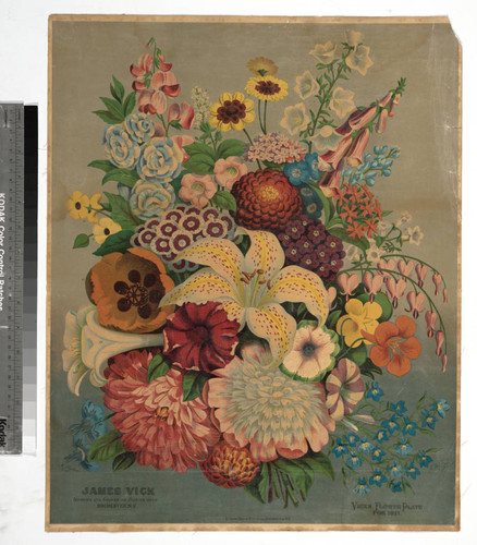 Vick’s flower plate for 1871