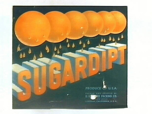 Sugardipt