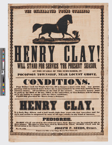 The celebrated young stallion Henry Clay!