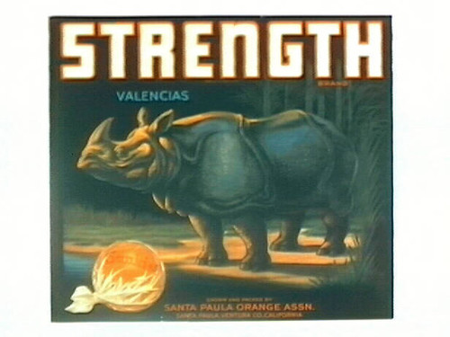 Strength Brand