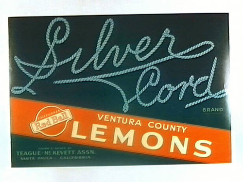 Silver Cord Brand