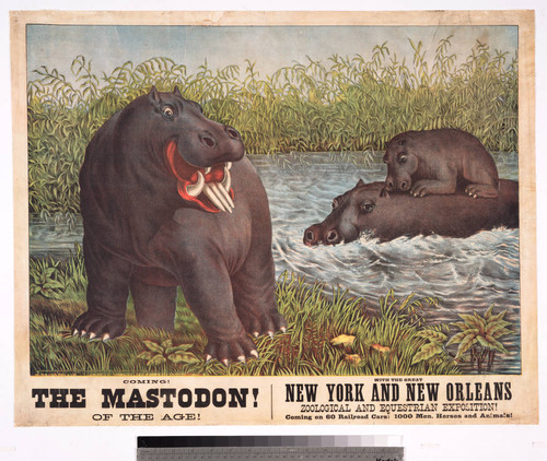 Coming! the mastodon! of the age! with the great New York and New Orleans zoological and equestrian exposition!