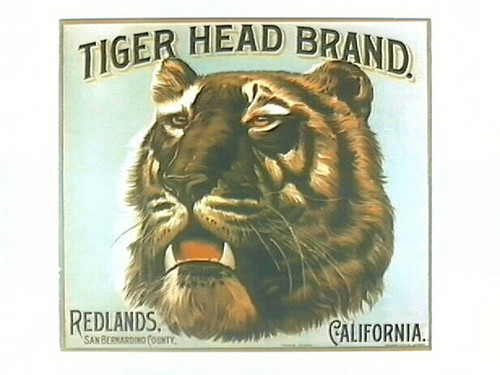Tiger Head Brand