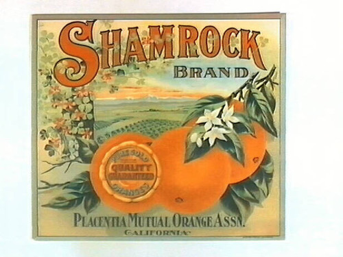 Shamrock Brand