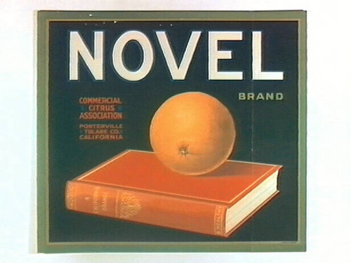 Novel Brand