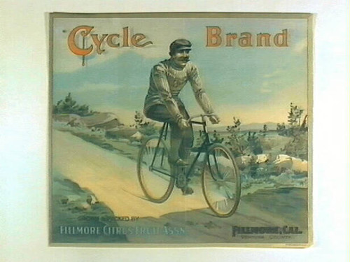 Cycle Brand