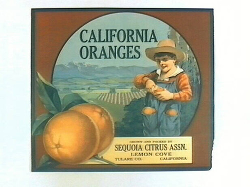 California Oranges