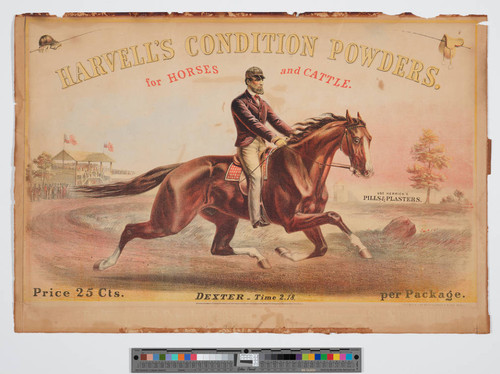 Harvell's condition powders. For horses and cattle