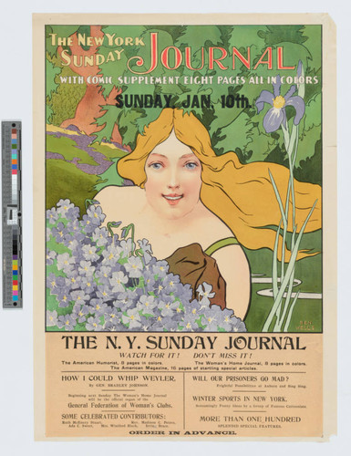 The New York Sunday Journal