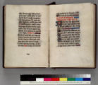 Book of hours, use of Paris, in French : [manuscript]