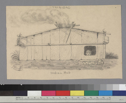 Trinidad - Indian Hut