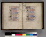 Book of Hours, use of Paris : [manuscript]