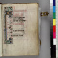 Book of Hours, undetermined use : [manuscript]