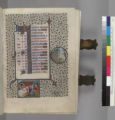 Book of Hours, use of Paris : [manuscript]