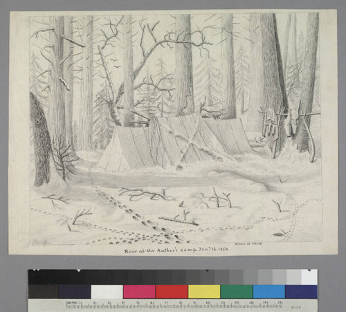 Rear of the Author's camp, Jan. 16, 1850
