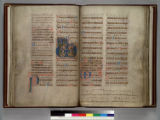 Missal, for Cistercian use : [manuscript]