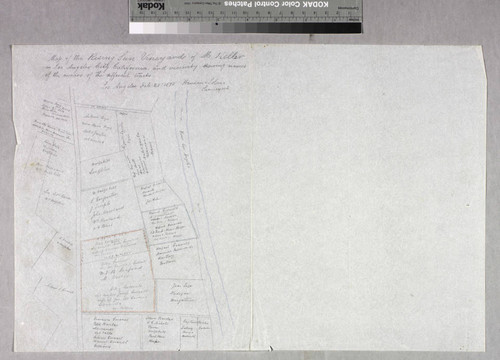 Map of the Rising Sun Vineyard of M. Keller. and vicinity