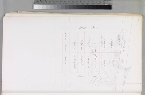 Mott Tract : maps of individual blocks