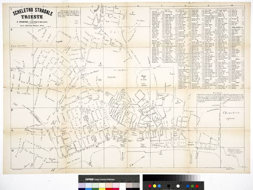 Scheletro stradale di Trieste / per F. Pfeiffer, ingenere e meccanico