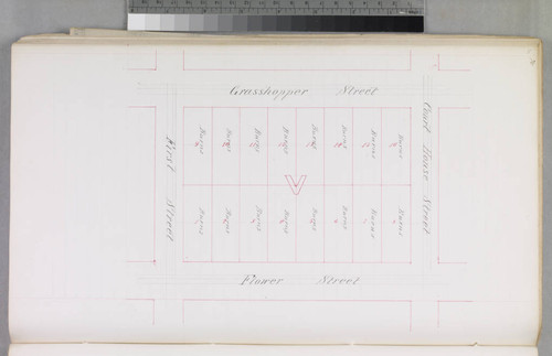Mott Tract : maps of individual blocks