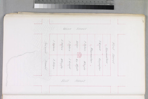 Mott Tract : maps of individual blocks